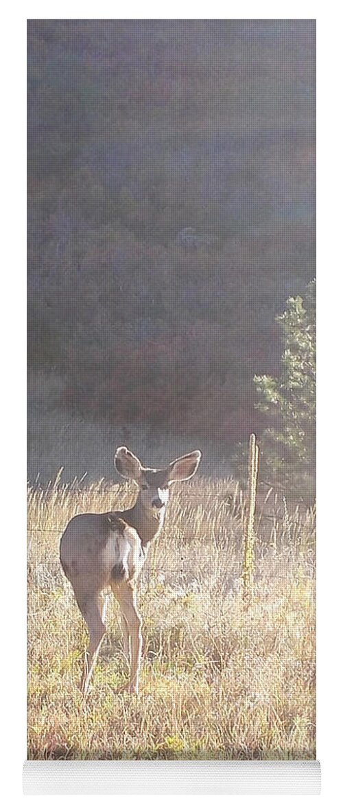 Deer Yoga Mat featuring the photograph Looking at You by Shere Crossman