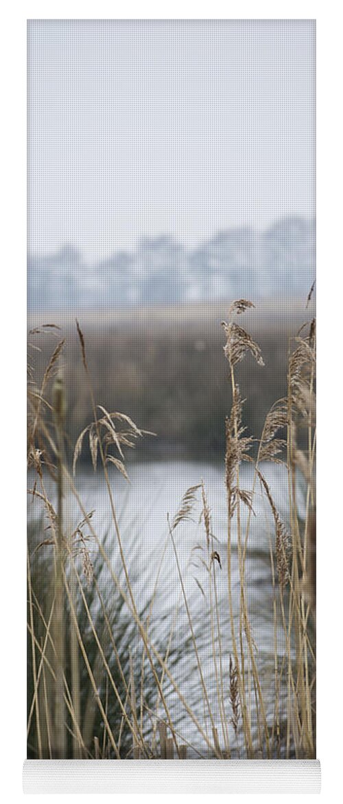 Reeds Yoga Mat featuring the photograph Looking through the Reeds by Spikey Mouse Photography