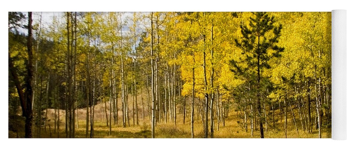 Autumn Yoga Mat featuring the photograph Lovel Gulch Trail by Steven Krull
