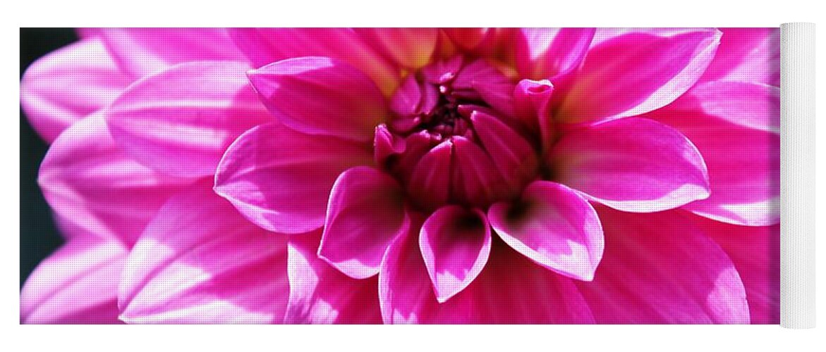 Flowers Yoga Mat featuring the photograph Lush Pink Dahlia by Judy Palkimas