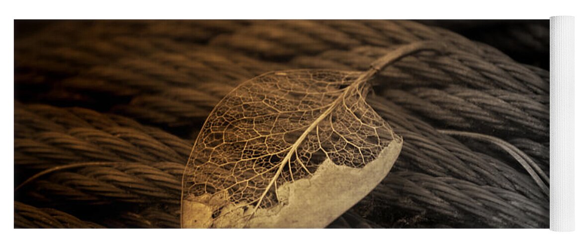 Leaf Yoga Mat featuring the photograph Lwv10015 by Lee Winter