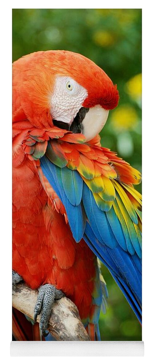 Macaws Yoga Mat featuring the photograph Macaws Of Color31 by Rob Hans