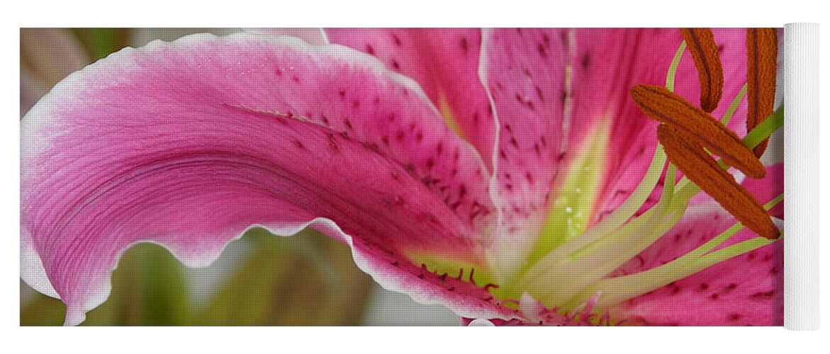 Magenta Tiger Lily Yoga Mat featuring the photograph Magenta Tiger Lily by Julianne Felton