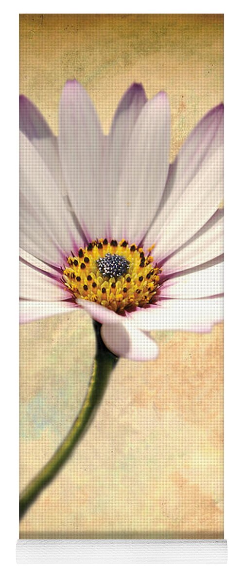 Flower Image Print Yoga Mat featuring the digital art Maisy Daisy by David Davies