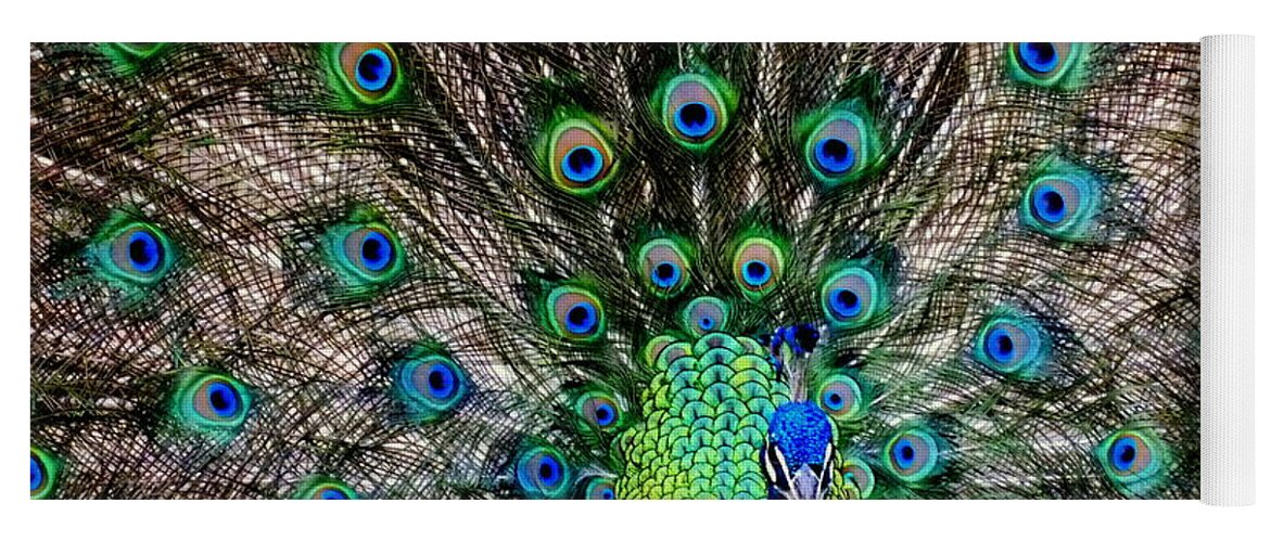 Peacocks Yoga Mat featuring the photograph Majestic Blue by Karen Wiles