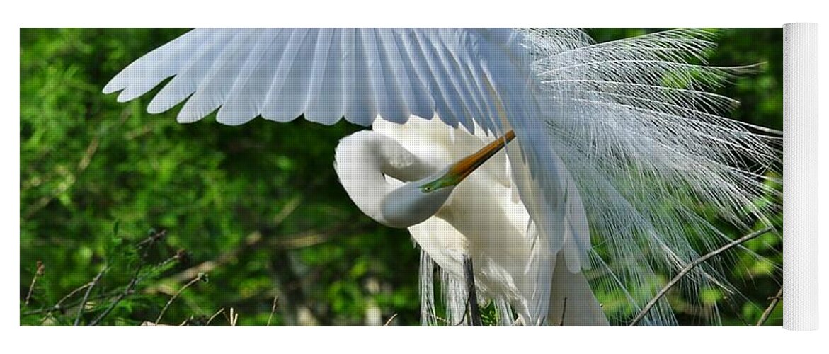 Birds Yoga Mat featuring the photograph Majestic Egret by Kathy Baccari