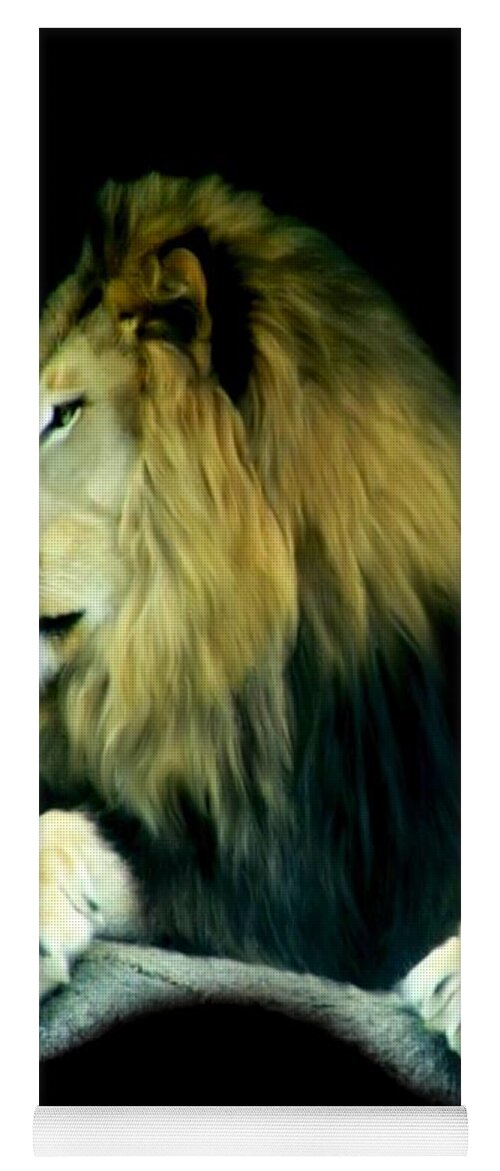Majestic King Yoga Mat featuring the photograph Majestic King by Maria Urso