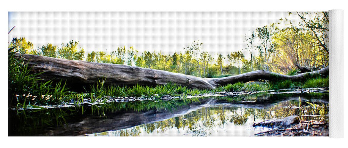 Tree Yoga Mat featuring the photograph Man Down by Joel Loftus