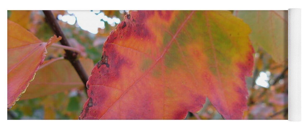 Maple Leaf Yoga Mat featuring the photograph Maple Leaf Autumn by Mars Besso