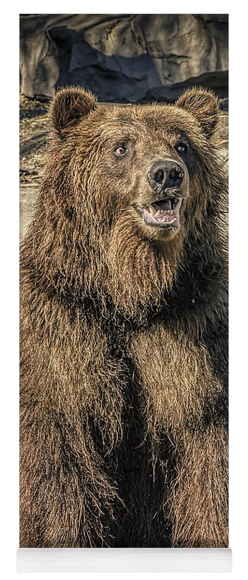 Grizzly Yoga Mat featuring the photograph Merry Grizzly Bear   by LeeAnn McLaneGoetz McLaneGoetzStudioLLCcom