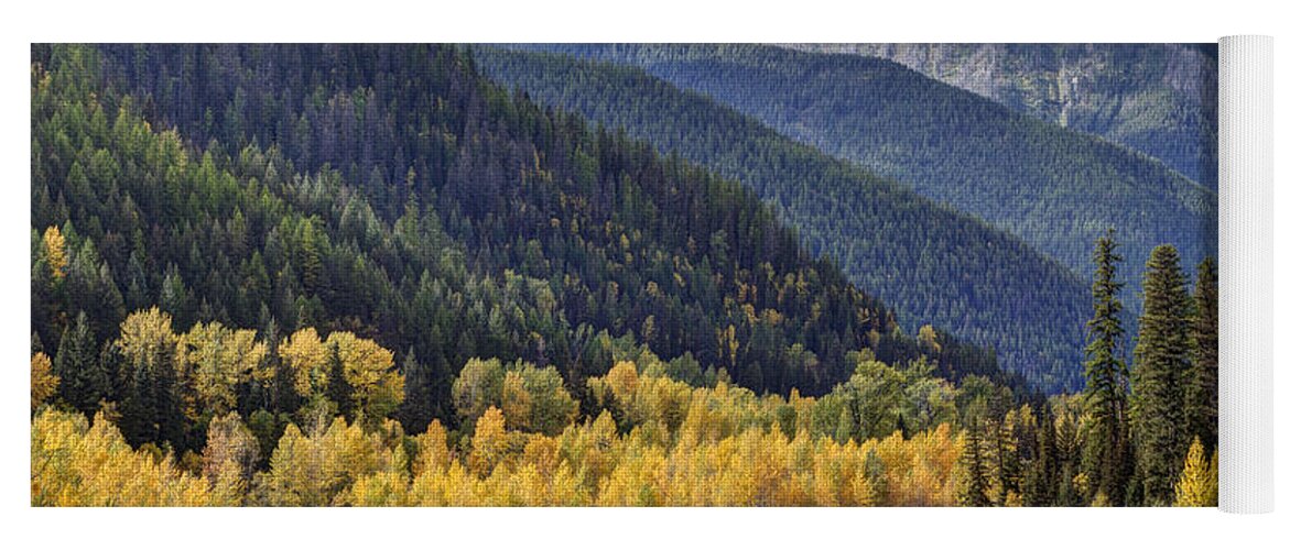 Autumn; Fall; Middle Fork Flathead River; Montana; Mountains; Nature; October; Outdoors; Reflection; River; Water; Yellow; Color; Flathead River; Landscape; Photo; Beautiful; Mark Kiver; Yellow; Sky. Forest; Trees; Aspen; Snow; Clouds Yoga Mat featuring the photograph Middle Fork Brillance by Mark Kiver