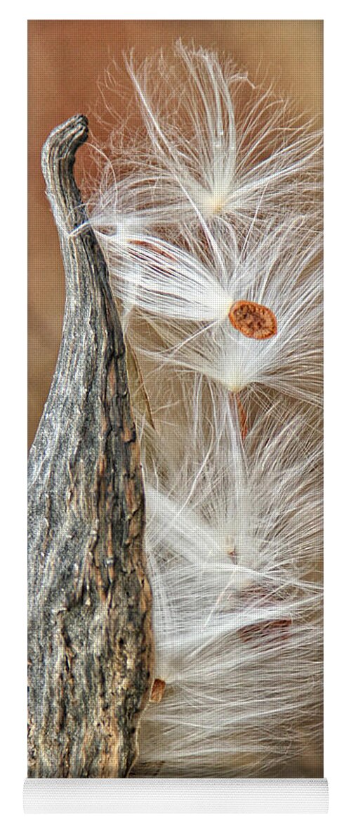 Nature Yoga Mat featuring the photograph Milkweed Pod and Seeds by William Selander