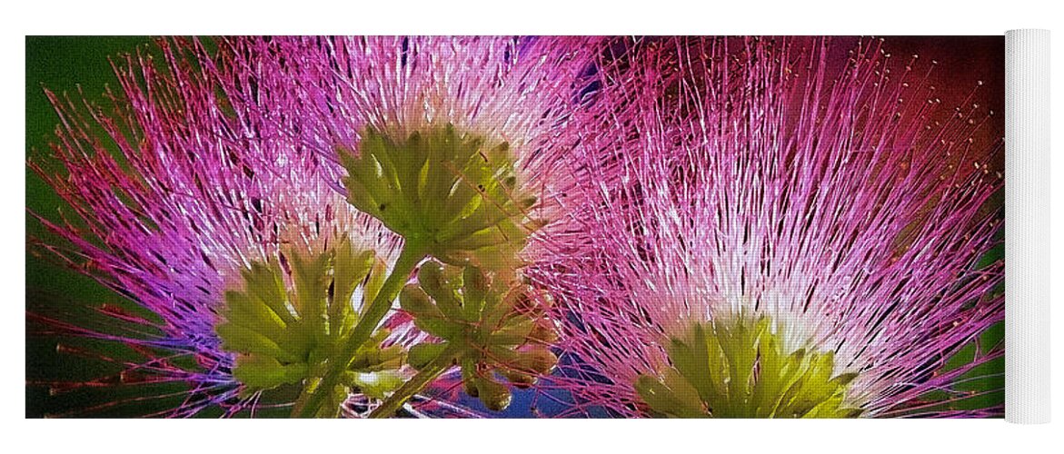 Mimosa Yoga Mat featuring the photograph Mimosa Blossoms by Jerry Gammon