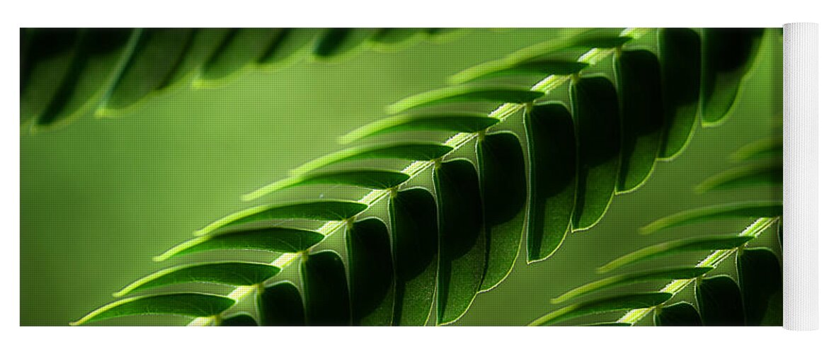 Mimosa Tree Leaves Yoga Mat featuring the photograph Mimosa Tree Leaf Abstract by Michael Eingle