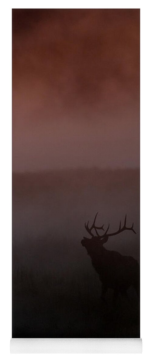  Bull Yoga Mat featuring the photograph Misty Morning Elk by Gary Langley