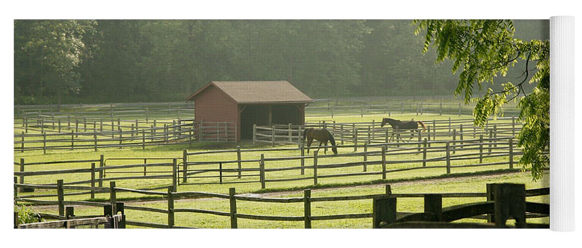 Horses Yoga Mat featuring the photograph Misty Morning Maze by Carol Lynn Coronios