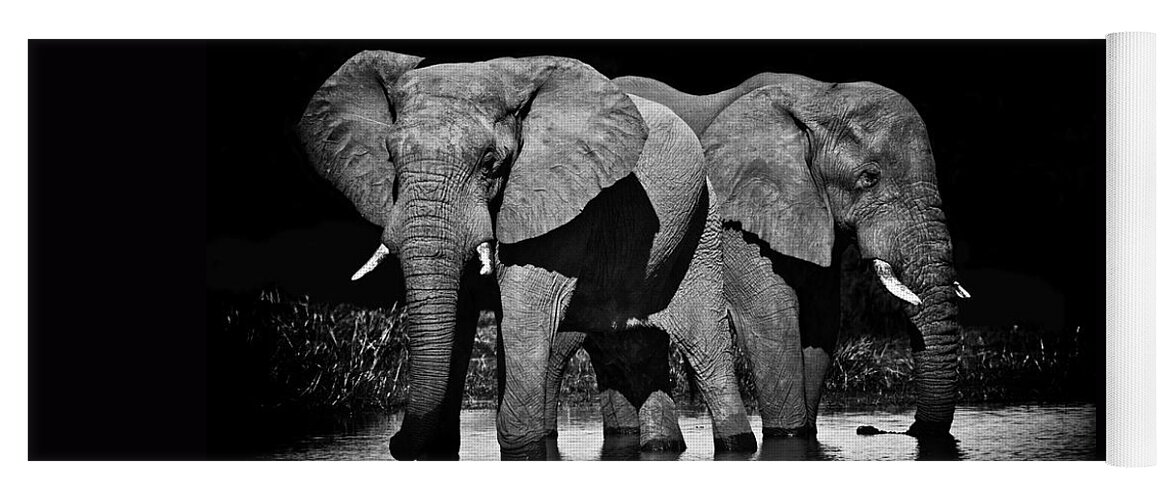 Art Yoga Mat featuring the photograph Mom and Baby Elephant by Gigi Ebert