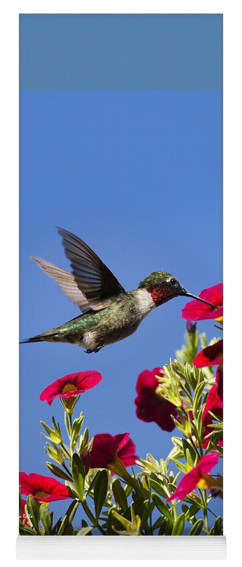 Hummingbird Yoga Mat featuring the photograph Moments of Joy by Christina Rollo