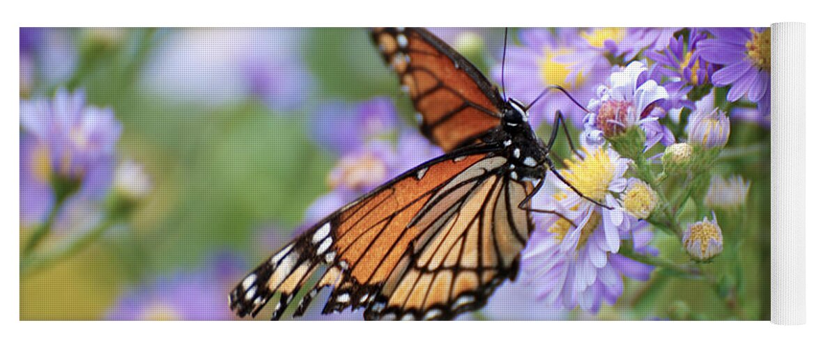 Monarch Butterfly Yoga Mat featuring the photograph Monarch butterfly 3 by Tracy Winter