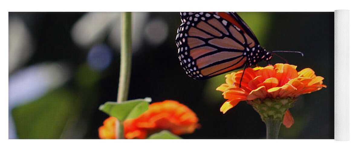 Monarch Butterfly Yoga Mat featuring the photograph Monarch Butterfly And Orange Zinnias by Kay Novy