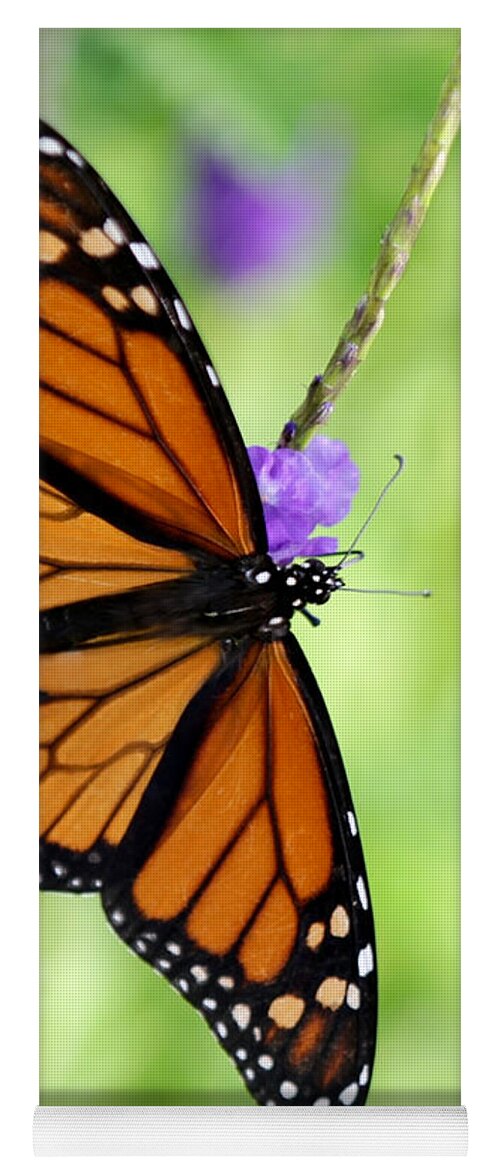 Macro Yoga Mat featuring the photograph Monarch Butterfly in Spring by Sabrina L Ryan