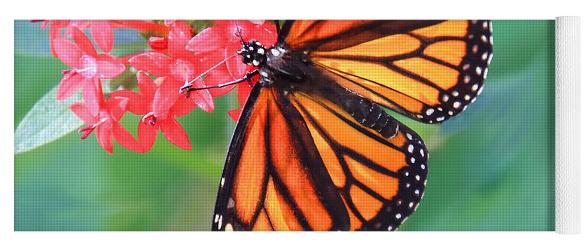 Butterfly Yoga Mat featuring the photograph Monarch Macro by Rosalie Scanlon