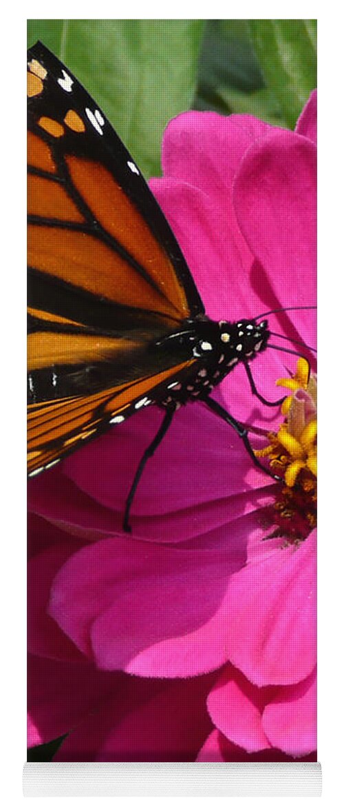 Monarch Yoga Mat featuring the photograph Monarch on Pink by Jayne Carney