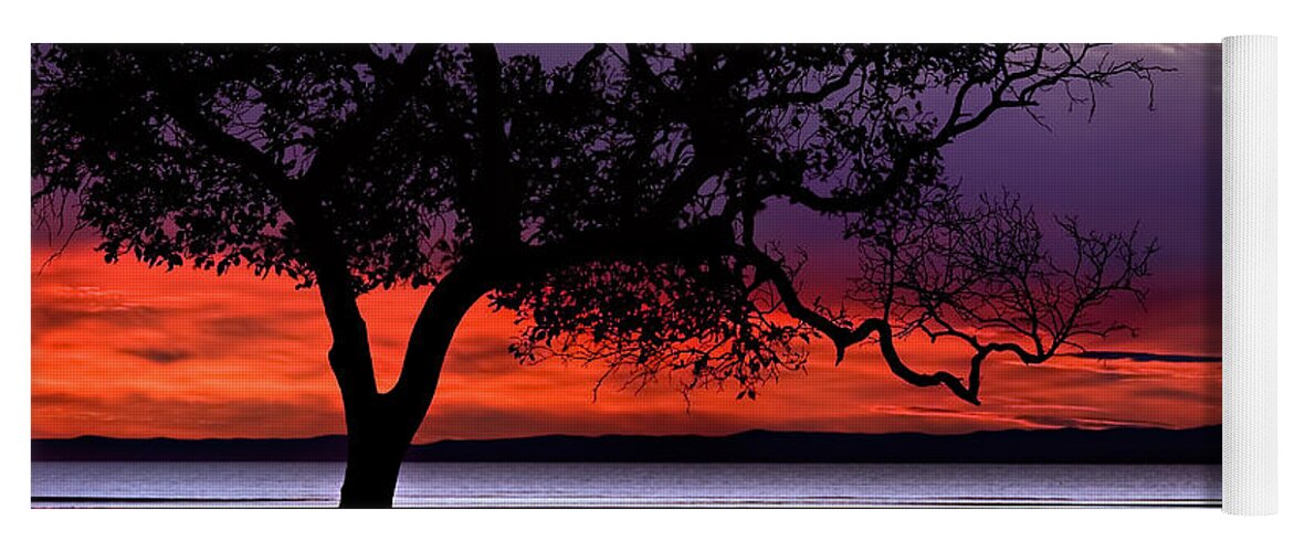 2008 Yoga Mat featuring the photograph Moreton Bay View by Robert Charity