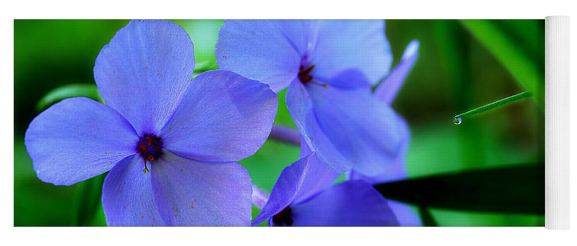 Blue Wildflowers Yoga Mat featuring the photograph Morning Wildflowers by Michael Eingle