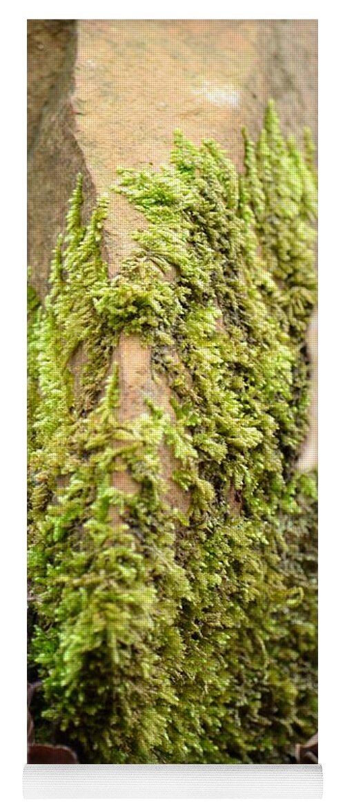 Mossy Rock Abstract 2013 Yoga Mat featuring the photograph Mossy Rock Abstract 2013 by Maria Urso