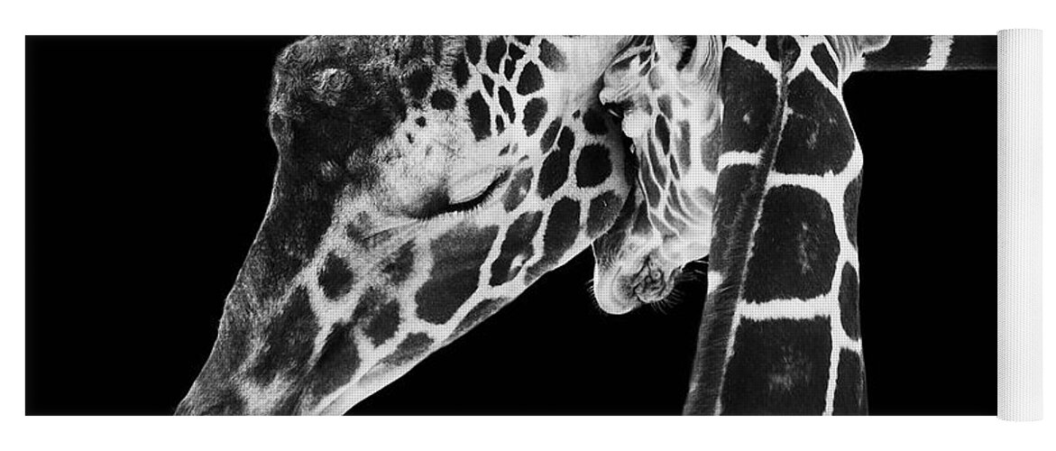 3scape Photos Yoga Mat featuring the photograph Mother and Baby Giraffe by Adam Romanowicz