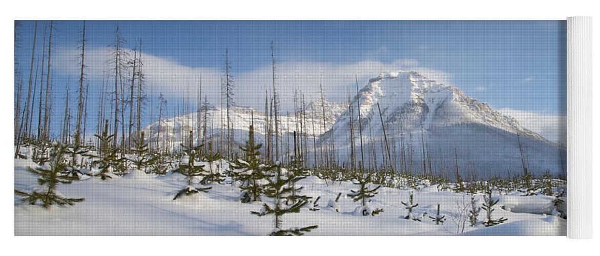 Winter Yoga Mat featuring the photograph Mountain Fresh by Bill Cubitt