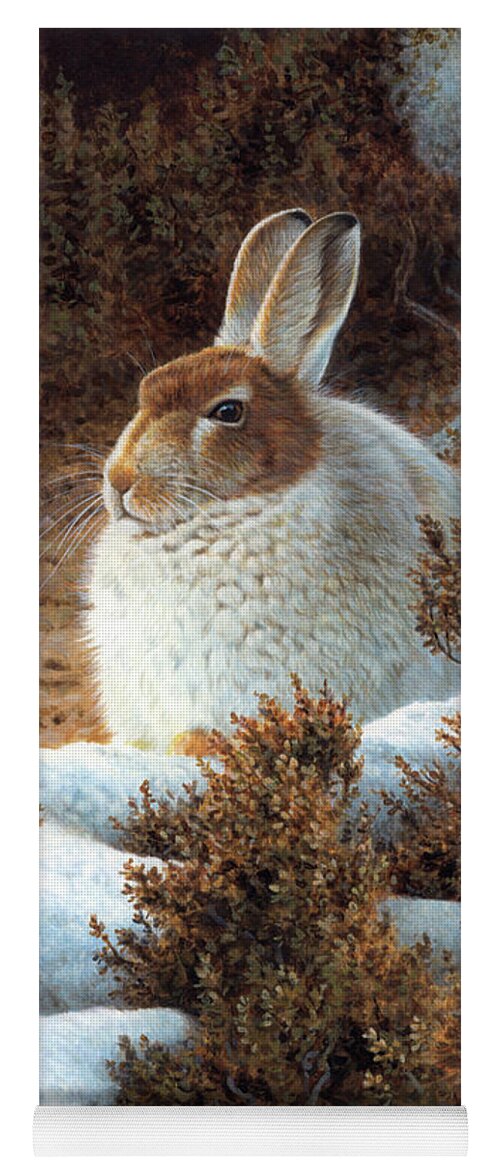 Animal Yoga Mat featuring the photograph Mountain Hare In Snow In Winter by Ikon Ikon Images