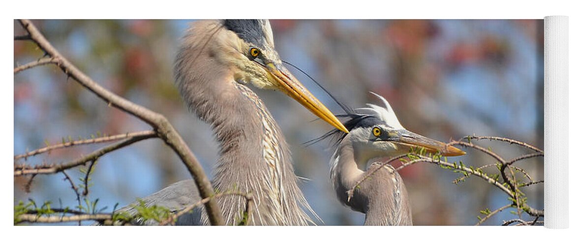 Heron Yoga Mat featuring the photograph Mr. And Mrs. by Kathy Baccari