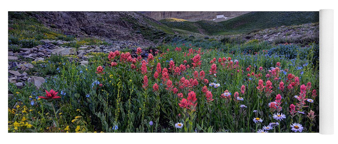 Mount Timpanogos Yoga Mat featuring the photograph Mt. Timpanogos Wildflowers at Sunset by Gary Whitton