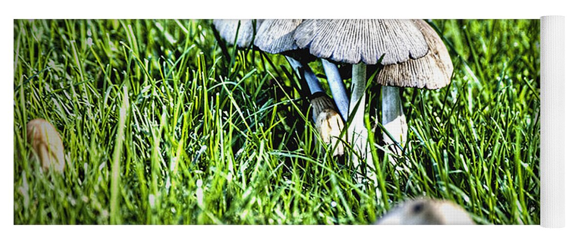 Botanical Yoga Mat featuring the photograph Mushroom in September HDR by Rich Collins