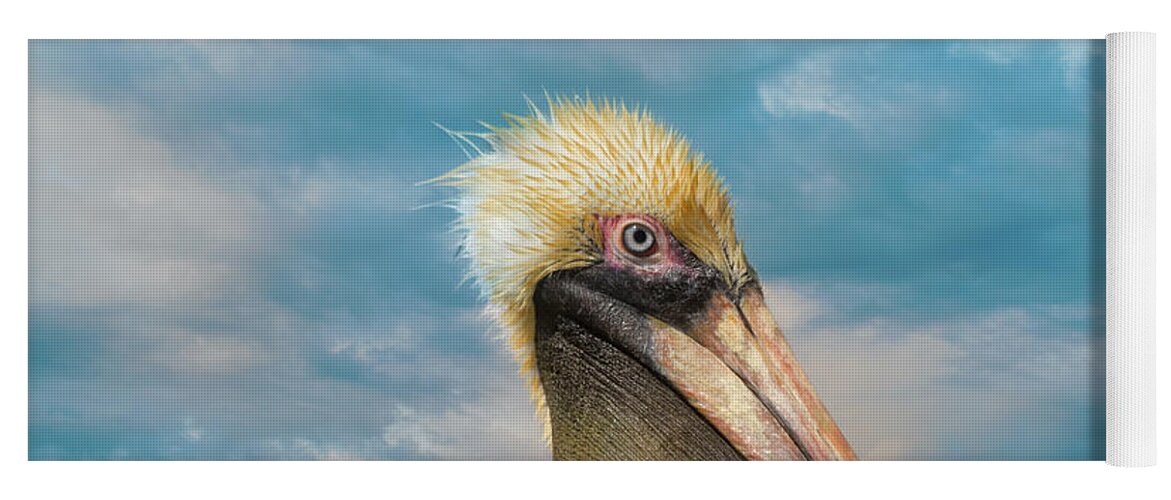 Pelican Yoga Mat featuring the photograph My Better Side - Florida Brown Pelican by Kim Hojnacki