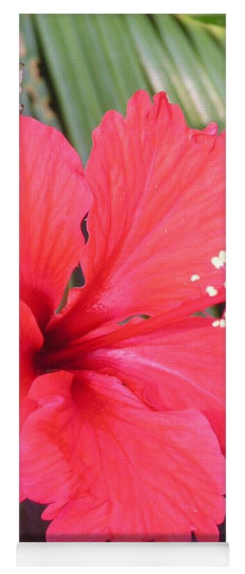 Flower Yoga Mat featuring the photograph My Favorite Red Garden Friend by Annika Farmer