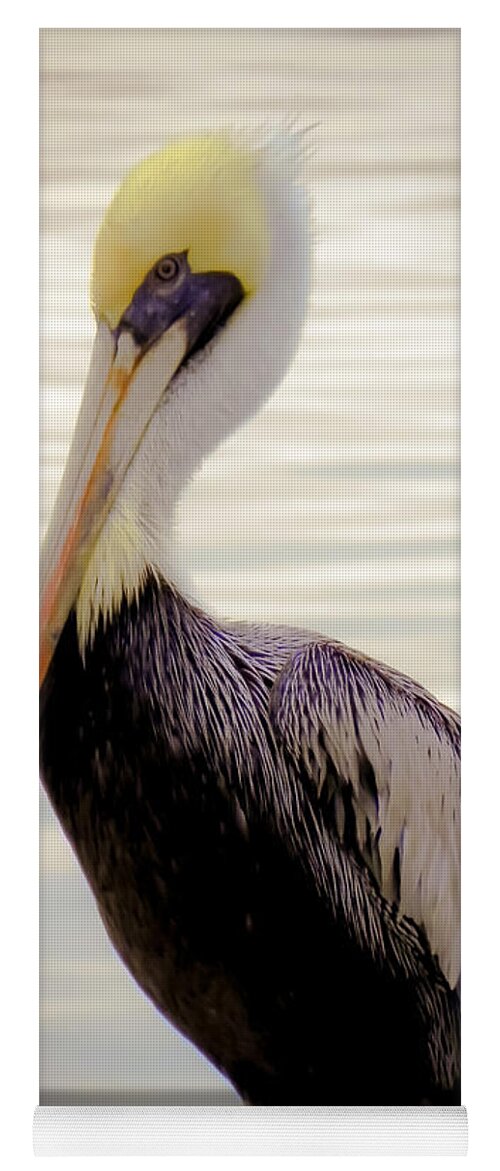 Bird Yoga Mat featuring the photograph My Visitor by Karen Wiles