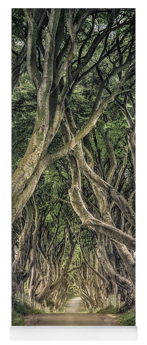 Dark Hedges; Hedges; Ireland; Northern Ireland; Britain; Road; Dark; Tree; Trees; Stick; Brunch; Leaves; Green; Passage; Way; Corridor; Tunnel; Mood; Moody; Mystic; Mystical; Mystery; Mysterious; Country; Countryside; Rural; Nature; Landscape; Kremsdorf; Evelina Kremsdorf Yoga Mat featuring the photograph Mysterious Ways by Evelina Kremsdorf