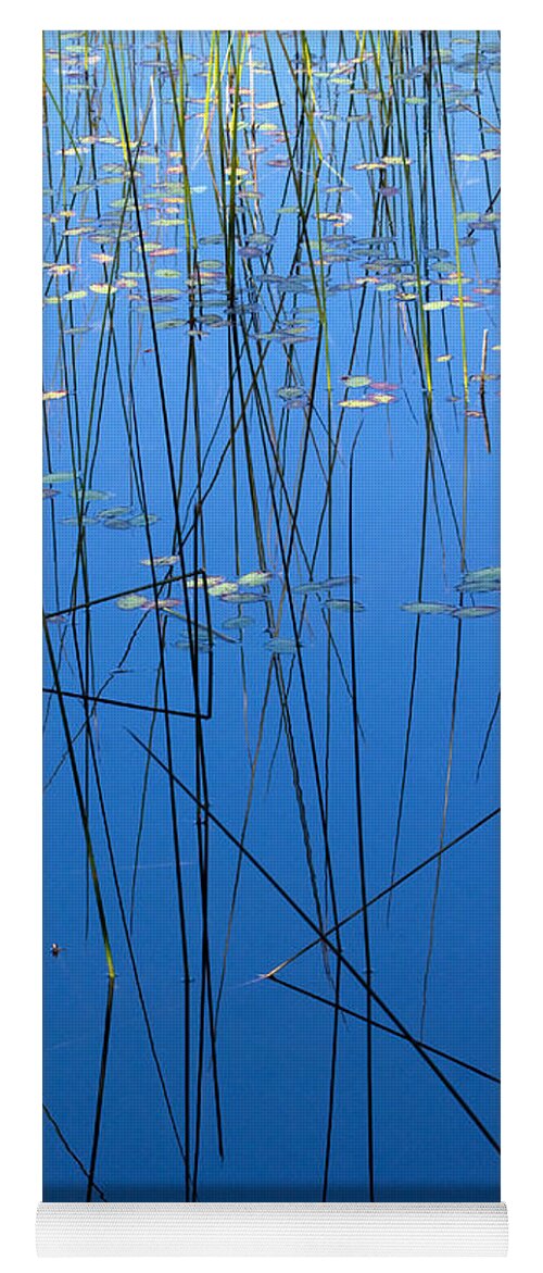 Reeds Yoga Mat featuring the photograph Nature's Abstract in Blue 1 by Peggy Collins