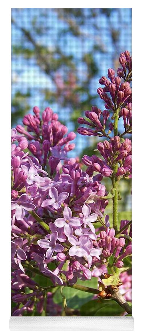 Purple Yoga Mat featuring the photograph Purple Lilac by Eunice Miller