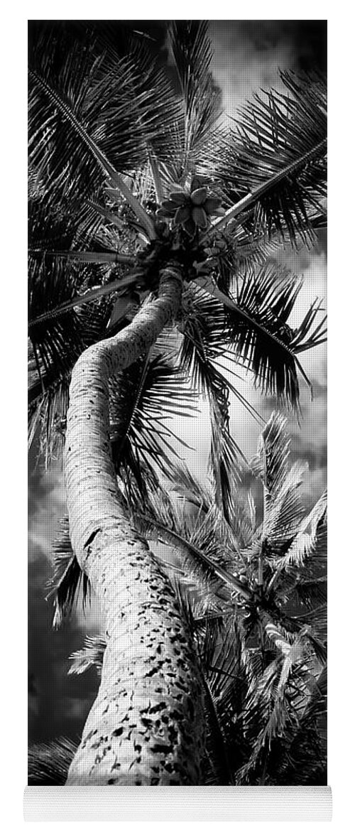 Coconut Poetry Yoga Mat featuring the photograph Niu - Hoaloha Beach Coconut Palm by Sharon Mau