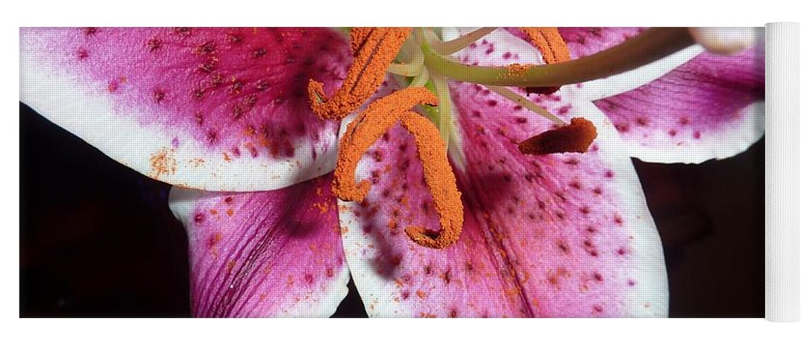 Flower Photograph Yoga Mat featuring the photograph Energized - Wild Orange by Michele Penn