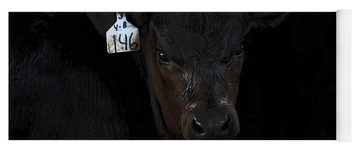 Calf Yoga Mat featuring the photograph Number 146 by Amanda Smith