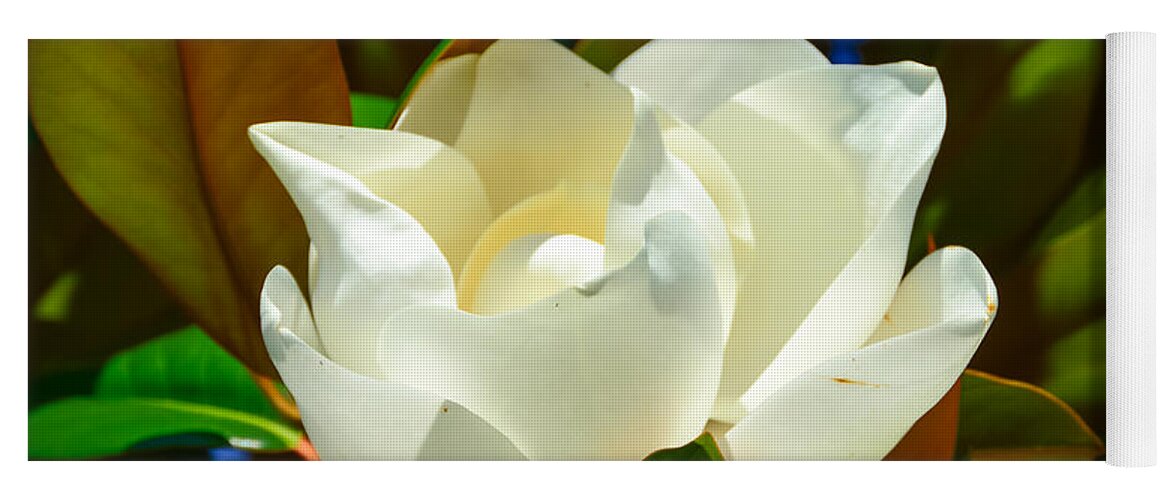Magnolia Yoga Mat featuring the photograph Oh Sweet Magnolia by Debra Martz