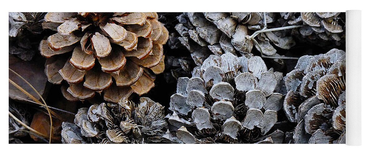 Pinecones Yoga Mat featuring the photograph Old Pinecones by Kae Cheatham