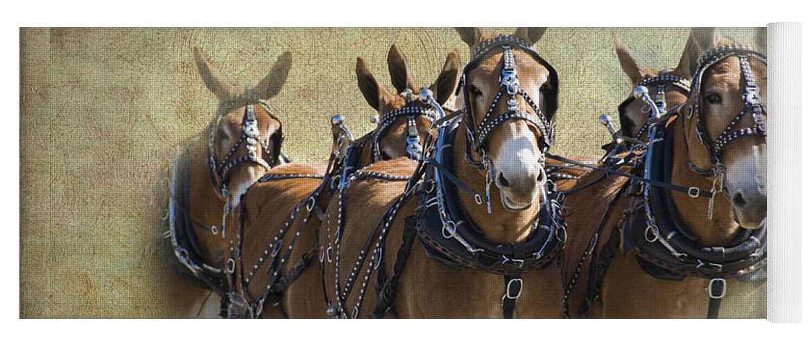 Mules Yoga Mat featuring the photograph Old West Mule Train by Betty LaRue