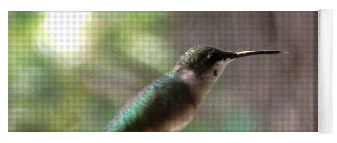 #hummingbird Yoga Mat featuring the photograph Hummingbird On A Mission by Belinda Lee