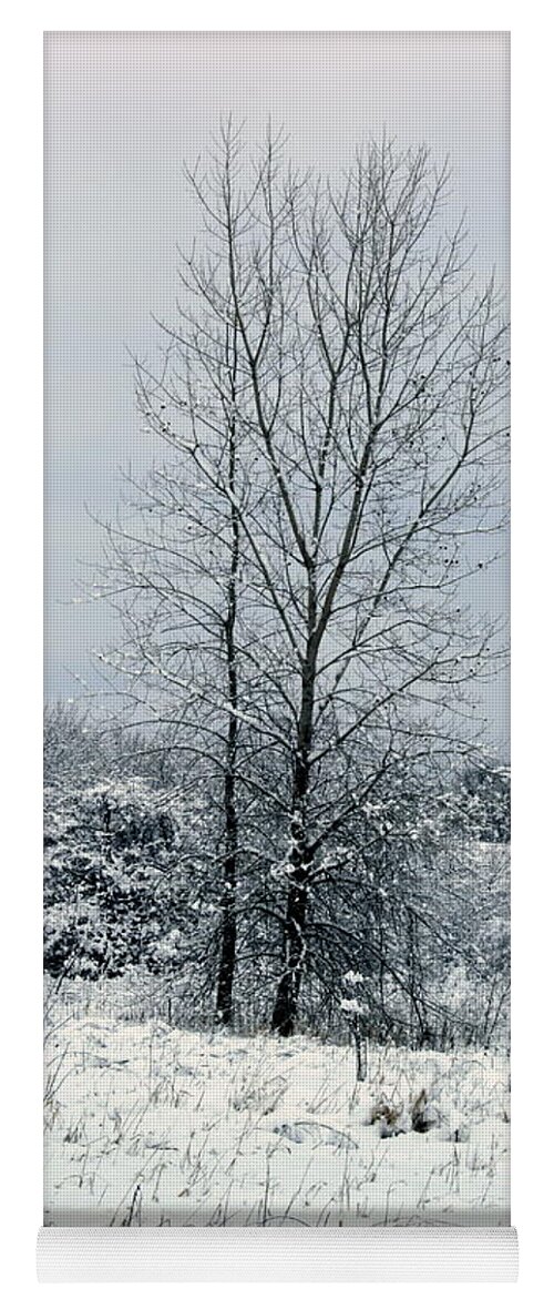 Winter Yoga Mat featuring the photograph On A Winters Day by Kay Novy